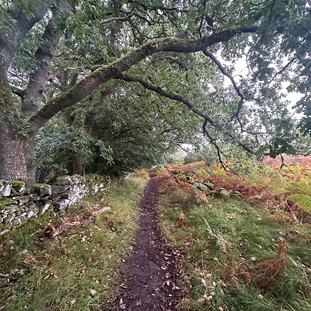 Red Squirrel Cottage Strathtay 외부 사진