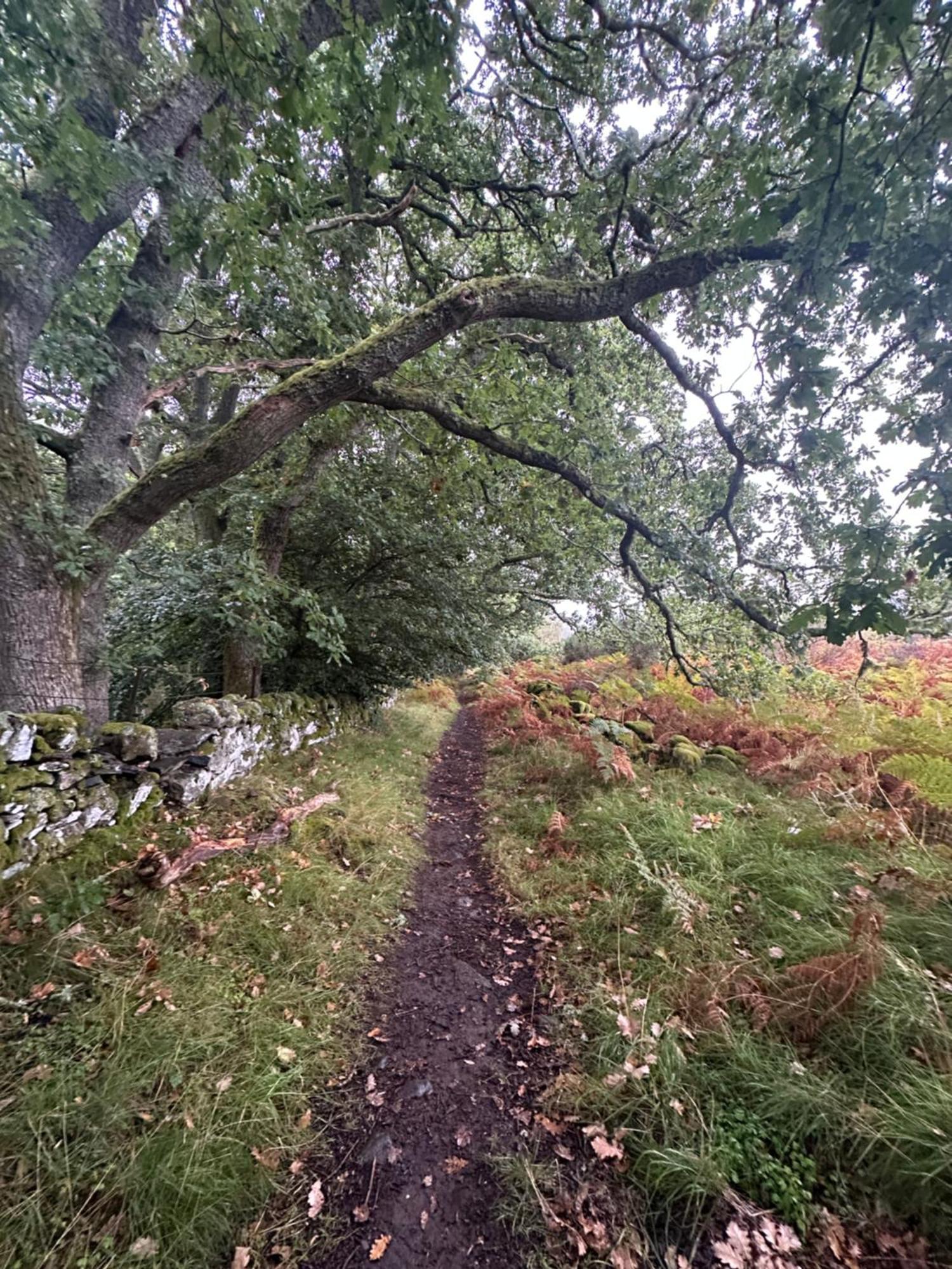 Red Squirrel Cottage Strathtay 외부 사진